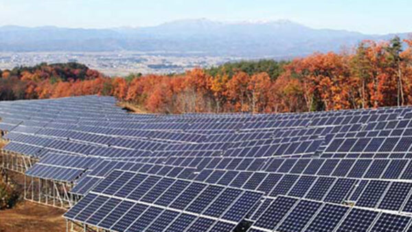 雄国太陽光発電所の電気をお届けします