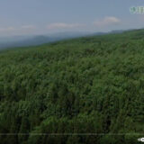 「きぼうチャンネル」での特別番組