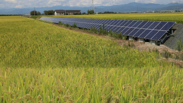 中央土地改良区 太陽光発電所